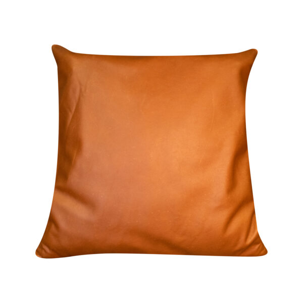 Genuine Cushion Case | Large